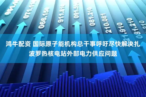 鸿牛配资 国际原子能机构总干事呼吁尽快解决扎波罗热核电站外部电力供应问题