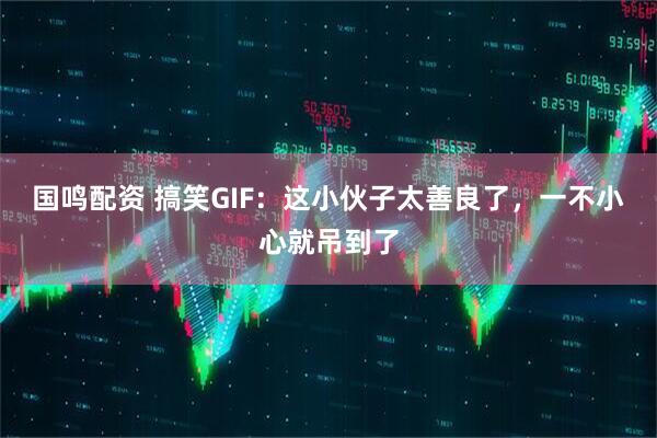 国鸣配资 搞笑GIF：这小伙子太善良了，一不小心就吊到了