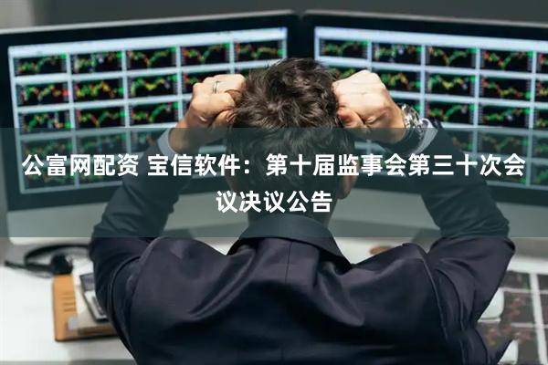 公富网配资 宝信软件：第十届监事会第三十次会议决议公告