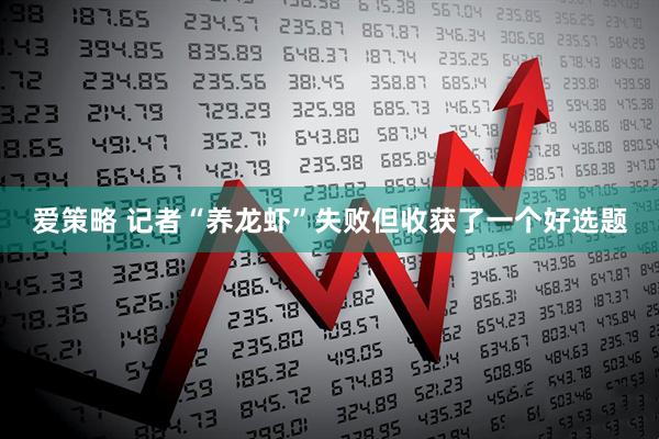 爱策略 记者“养龙虾”失败但收获了一个好选题