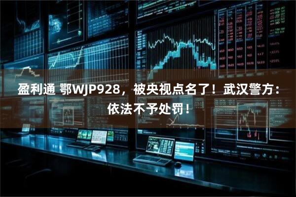 盈利通 鄂WJP928，被央视点名了！武汉警方：依法不予处罚！